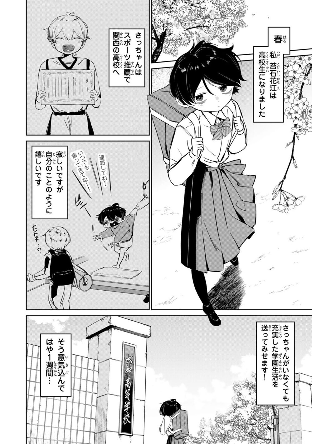 ハナバス 苔石花江のバスケ論（1） 試し読み8